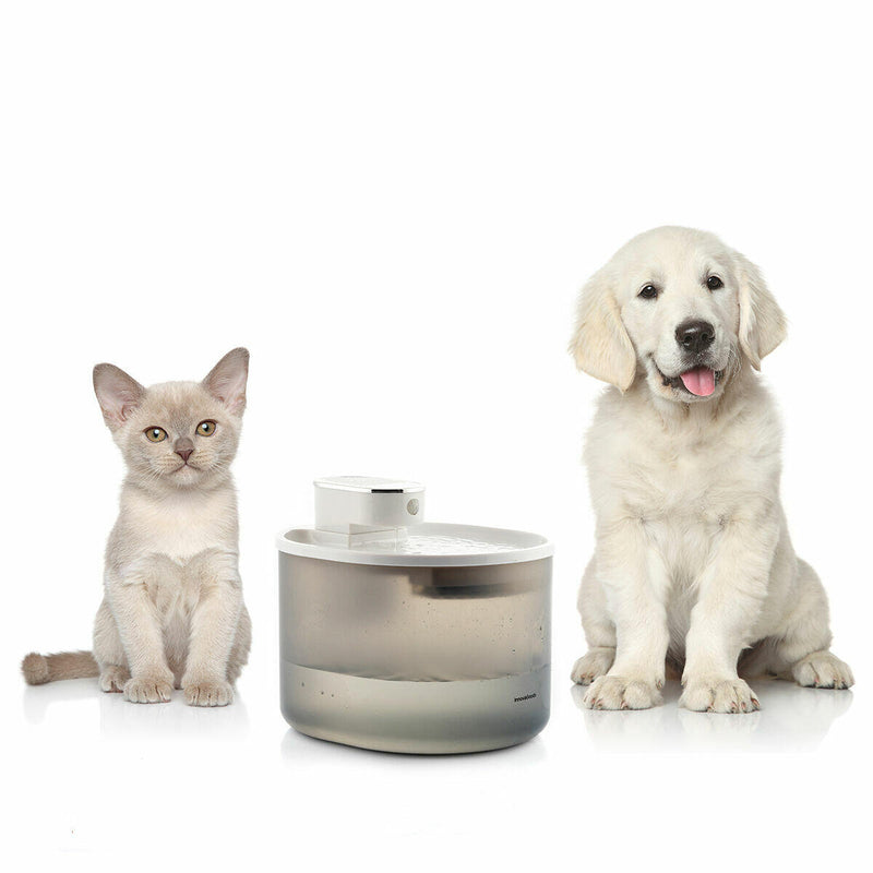 Fonte Recarregável com Sensor para Animais PickMeDeals