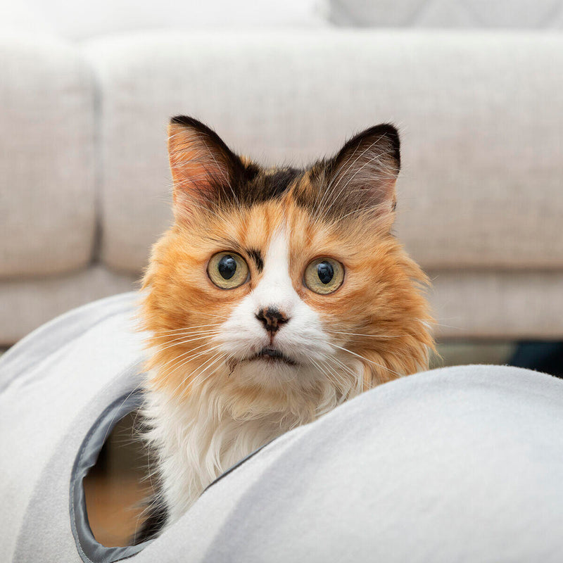 Túnel Plegável para Gatos com Janelas de Observação PickMeDeals
