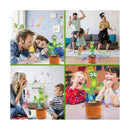 Cacto Dançante e Falante PickMeDeals