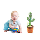 Cacto Dançante e Falante PickMeDeals