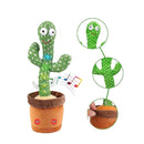 Cacto Dançante e Falante PickMeDeals
